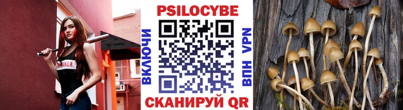 Псилоцибиновые грибы мицелий Купить закладки Димитровград